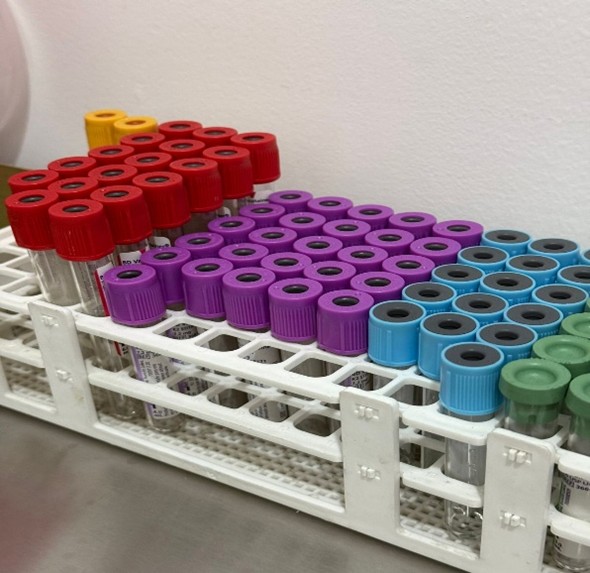 Imagen Laboratorio 2