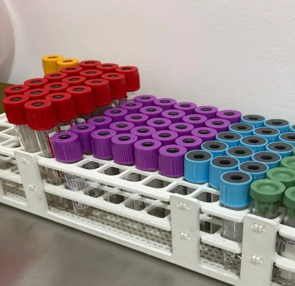 Imagen Laboratorio 2